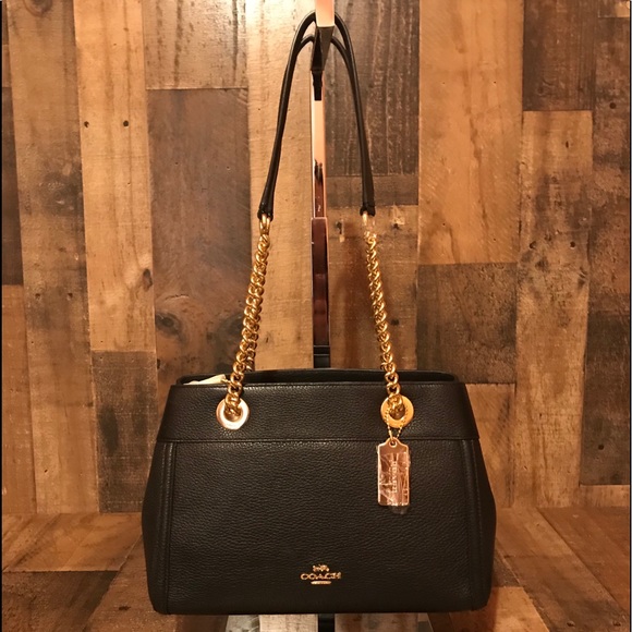 coach brooke chain carryall